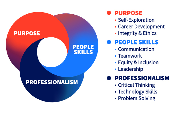 Gies Professional Pathways 3 P's infographic